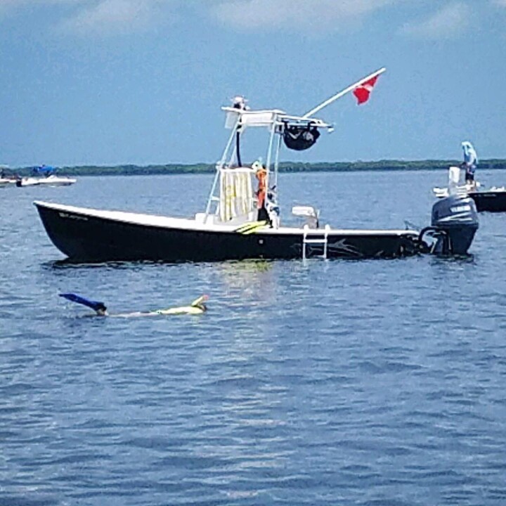 Scallop at Anchor